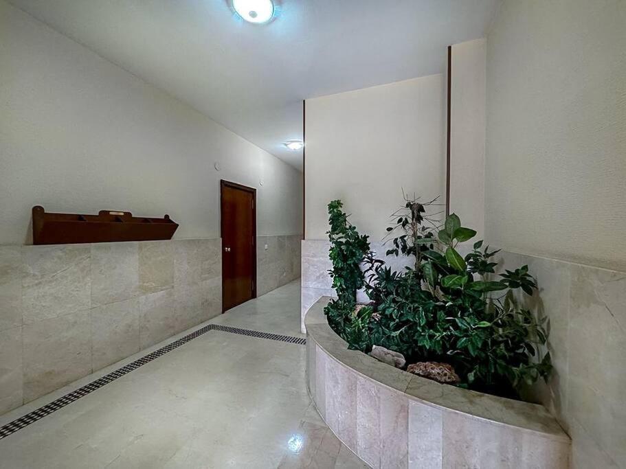 Apartamento En La Estacion De Trenes Jerez de la Frontera Dış mekan fotoğraf